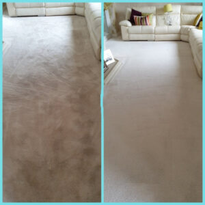 Carpet Cleaning Didcot | Carpet Cleaning Wantage