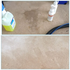 carpet cleaning Wallingford