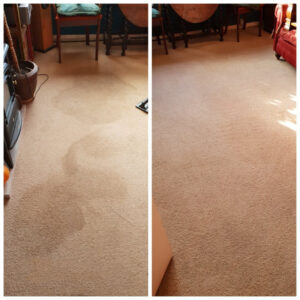 Carpet Cleaning Abingdon